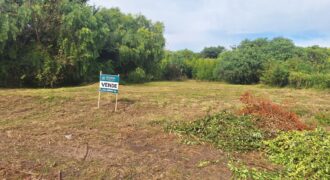 VENTA | Excepcional terreno en zona residencial